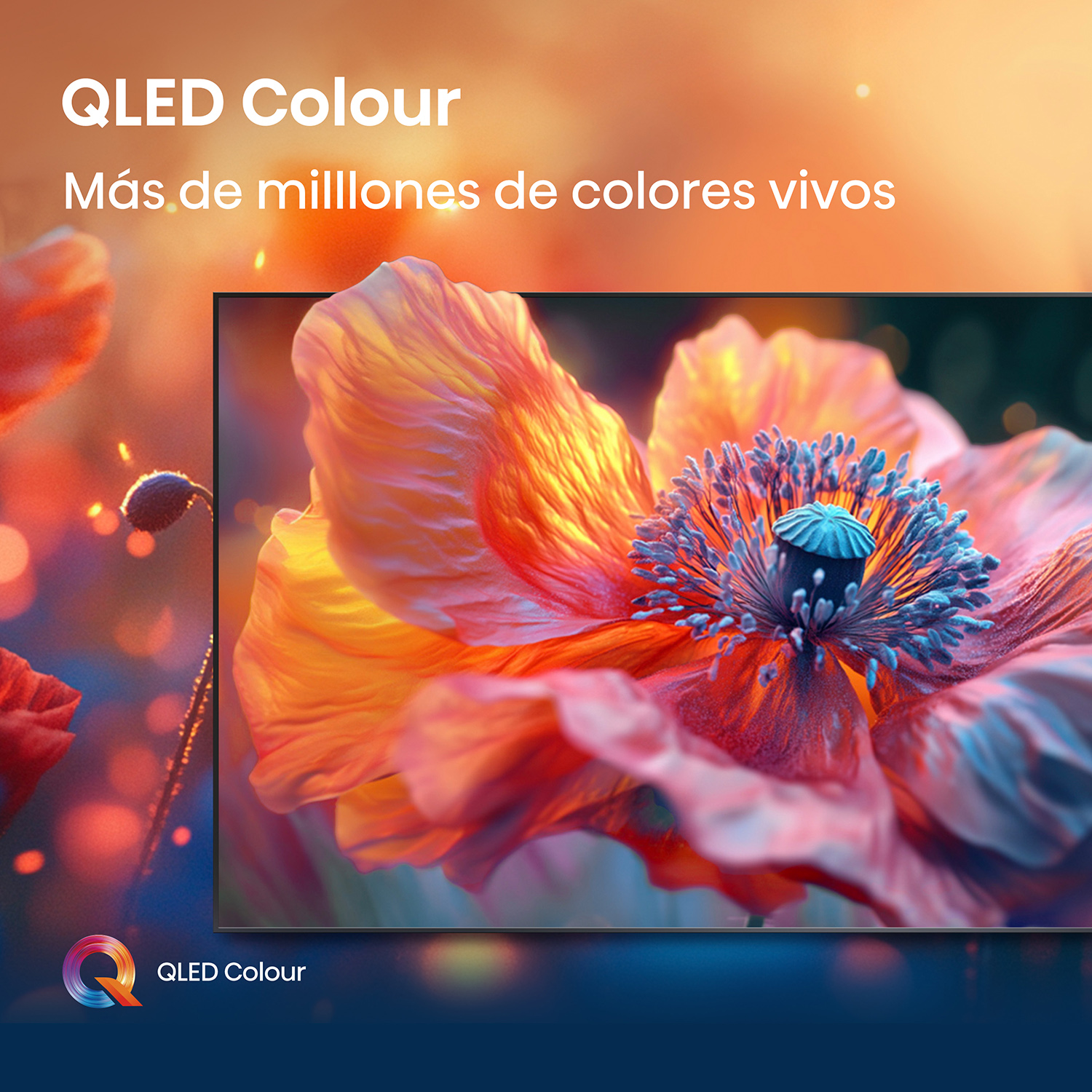 Q6QV 4 43