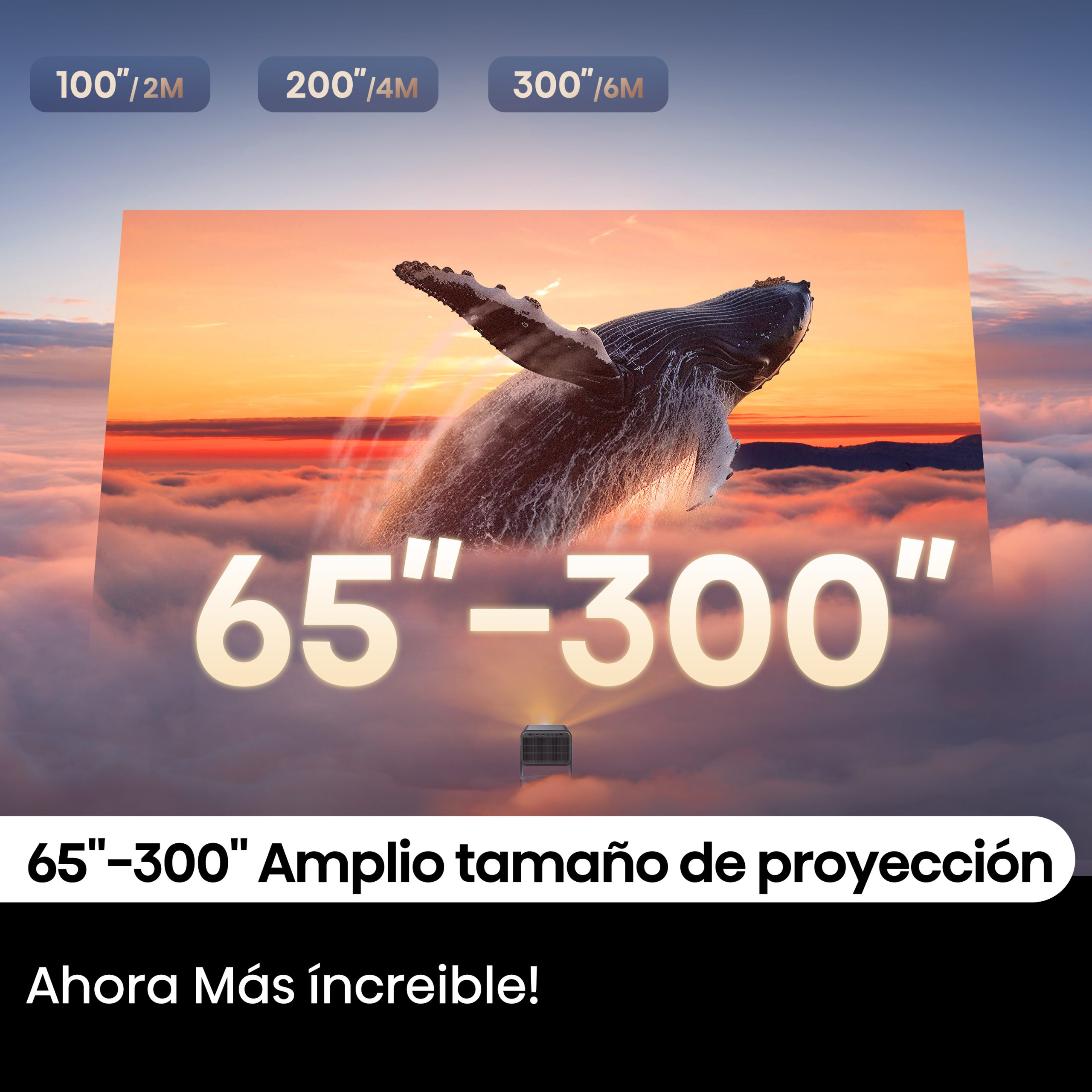 1-65_-300_ Super Wide Projection Size
