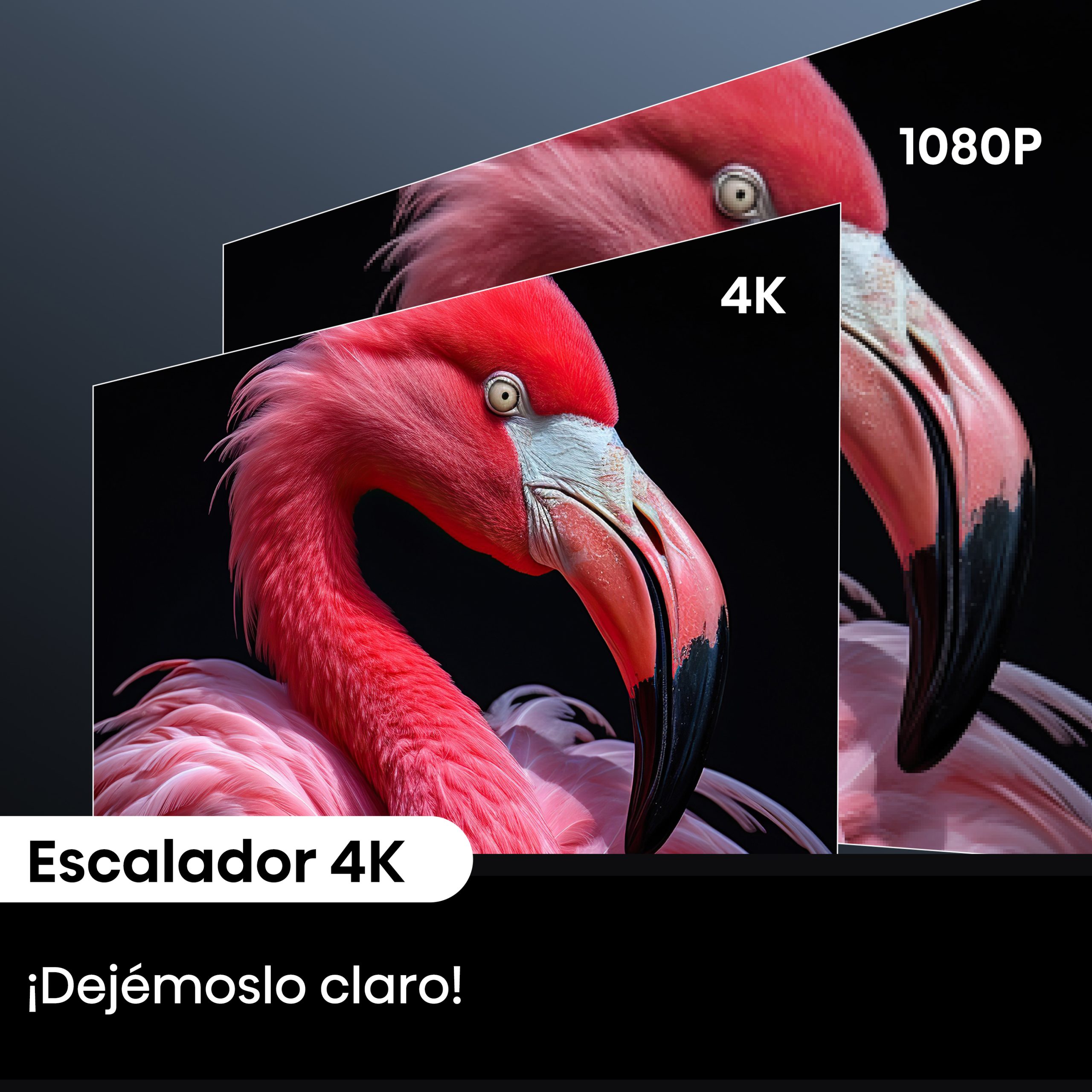 4-4K & 4K Upscaler_